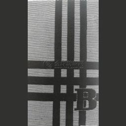 全滌提花布 時尚褲裝與襯衫面料的織造藝術